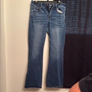 American Eagle Outfitters Blue Flare Wide Leg Jeans